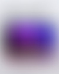 Resultado final do 6º Prêmio Conexão Inova!