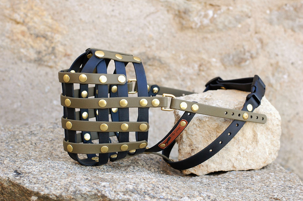 Miniature : Muselière niveau 1 en Biothane