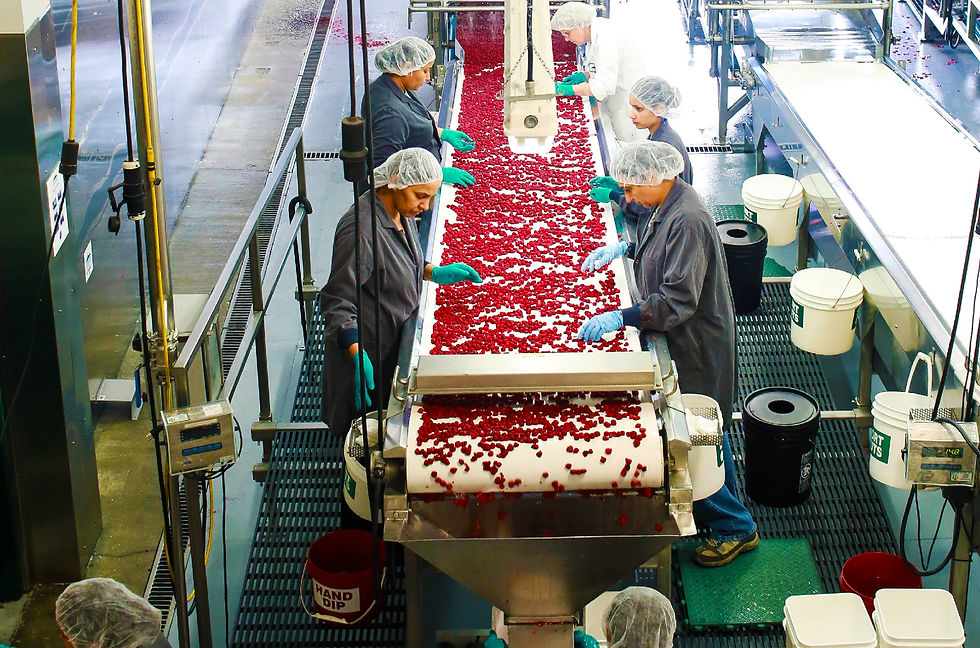 The raspberry line at Berryhill Foods. Image credit: Berryhill Foods