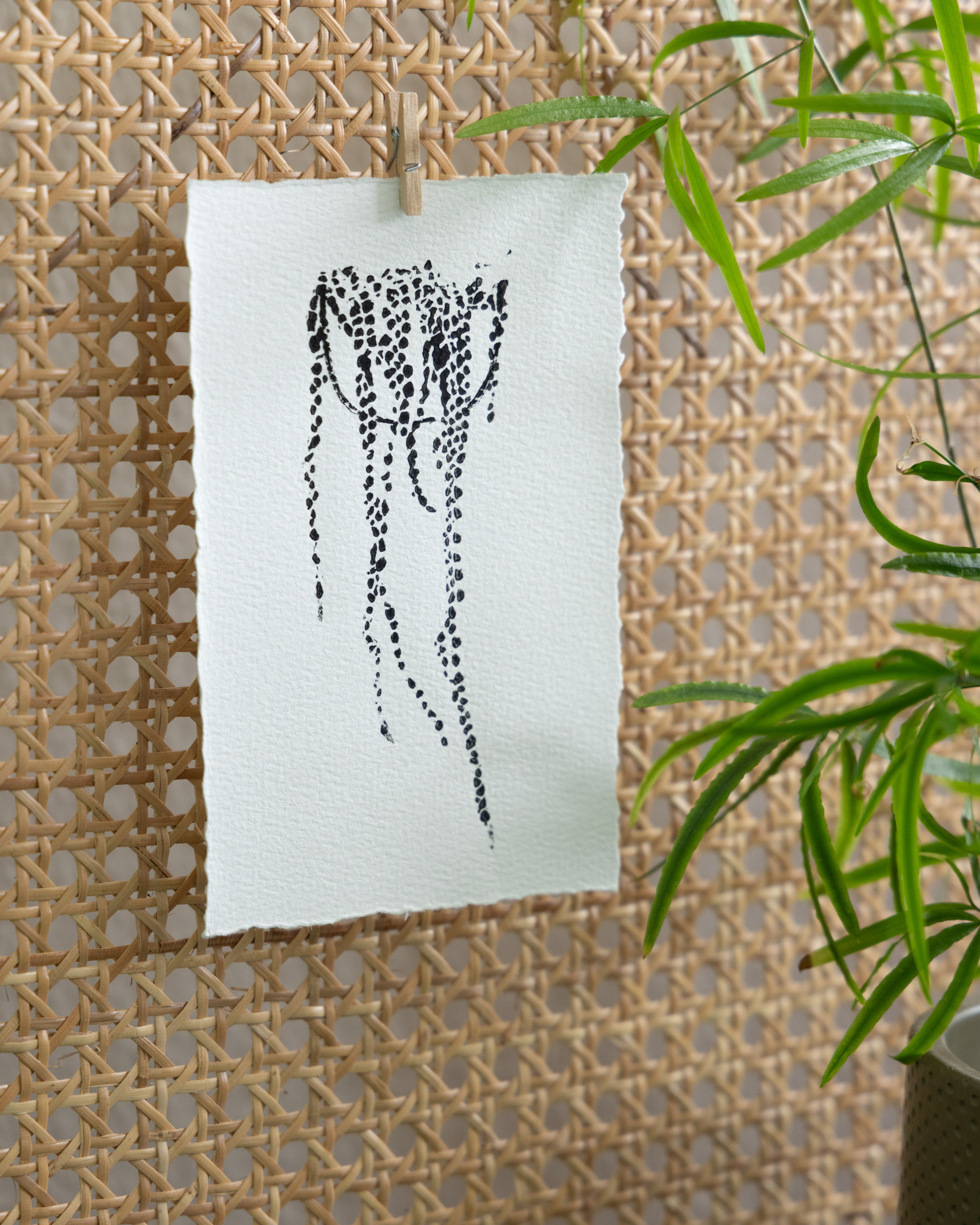 Karte "Senecio rowleyanus" (A6)