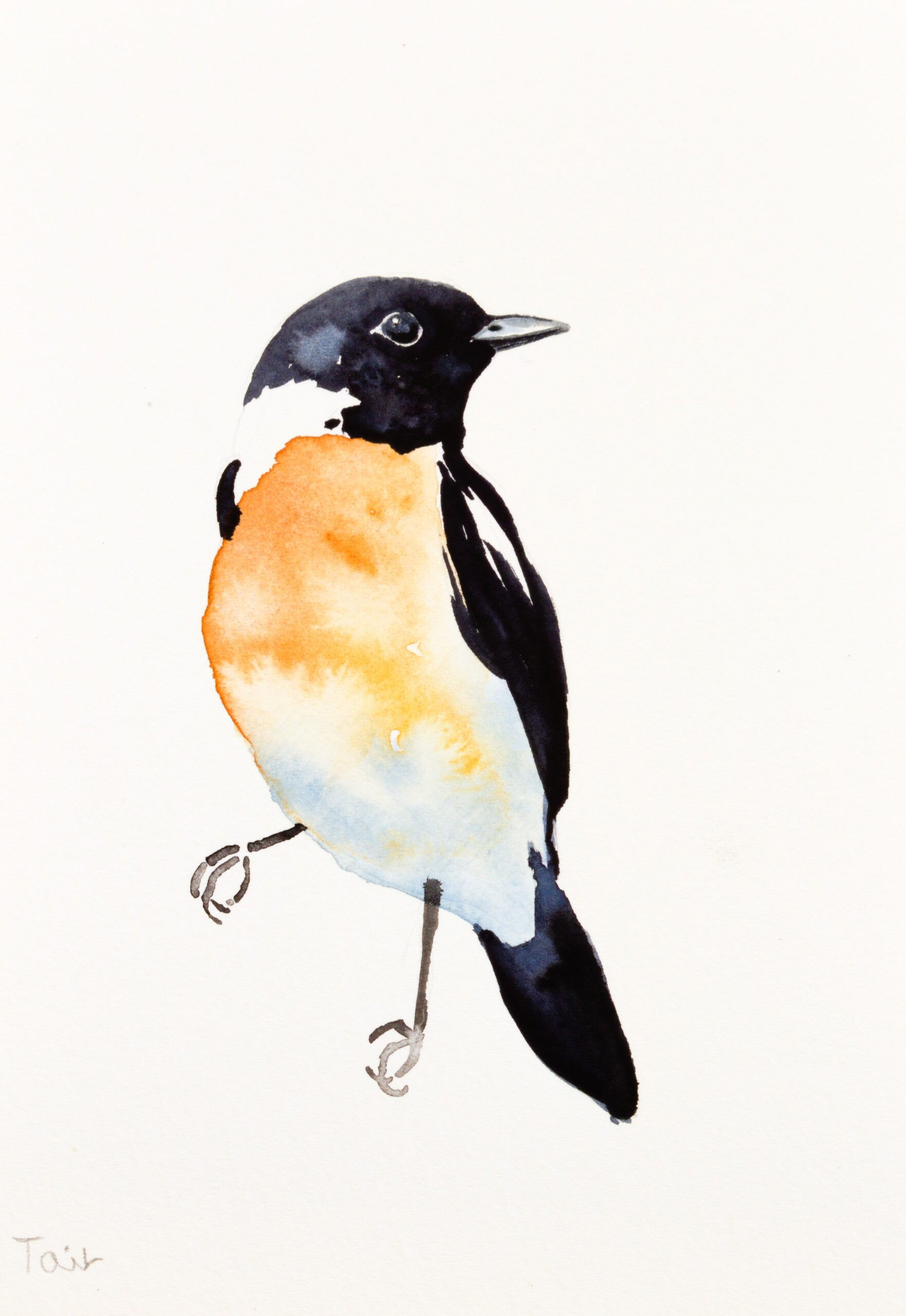 European stonechat | Original watercolor painting 