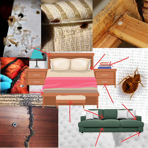 BB Inspection Examples.png