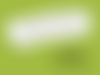 OZNÁMENÍ O PŘERUŠENÍ PROVOZU MŠ V DOBĚ VÁNOČNÍCH PRÁZDNIN