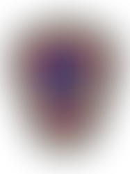 Athol Fire Chief Joseph Guarnera announces retirement