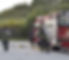 WFD-1.jpg