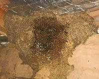 WhatsApp Image 2022-04-11 at 12.23_edited.jpg