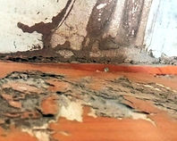 WhatsApp Image 2022-04-11 at 12_edited.jpg