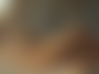 Estratégias eficazes para controle de pombos e aves