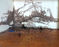 WhatsApp Image 2022-04-11 at 12.23_edited.jpg