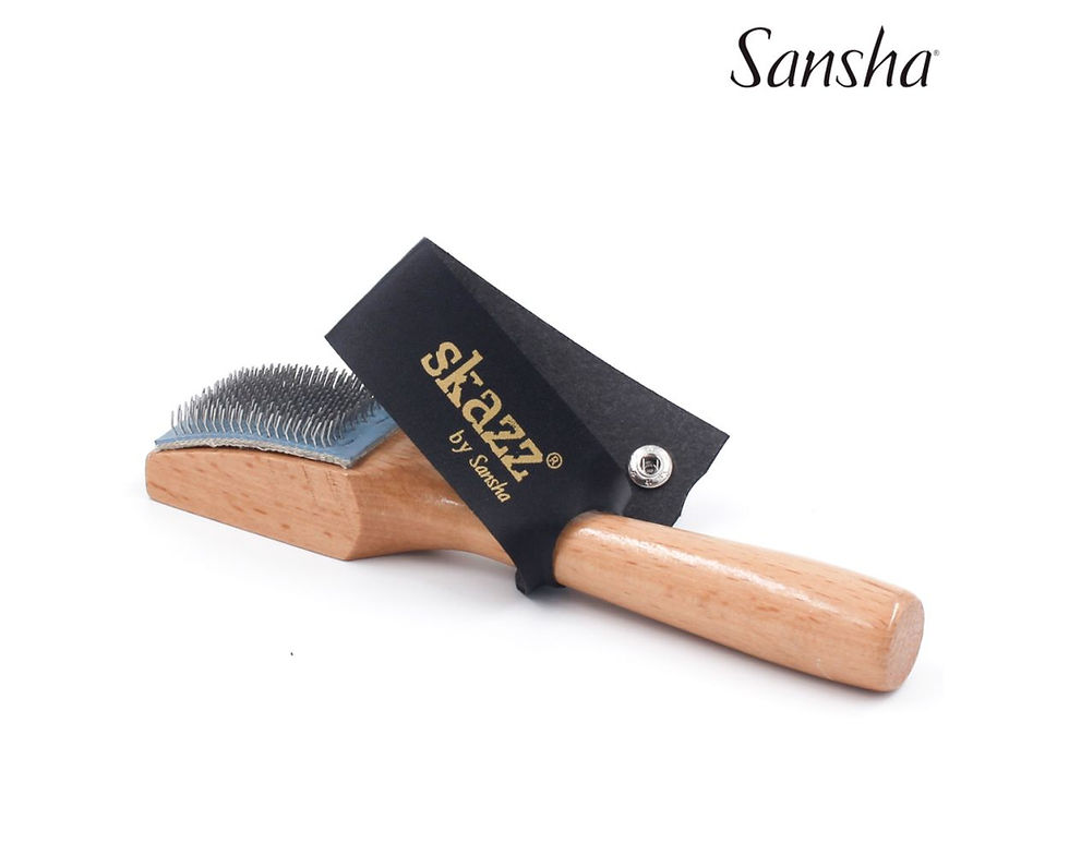 Shoe Brush