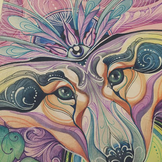 Karma Australian Shepperd watercolour painting with expressive eyes by Andrea Dawn