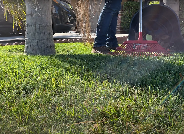 Lawn Mowing Nanaimo Services 01