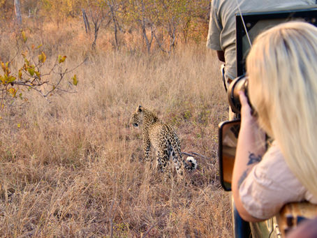 Expertly Guided Safari Tours in Africa by Hoopoe Adventures