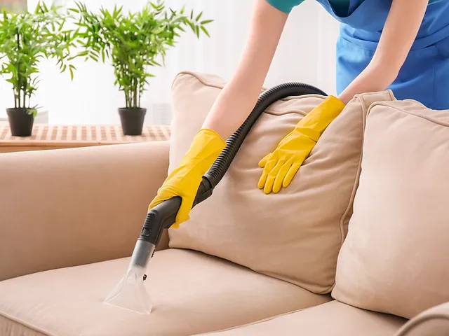 Sofa Cleaning Chamberlain Services Sofa Cleaning Chamberlain