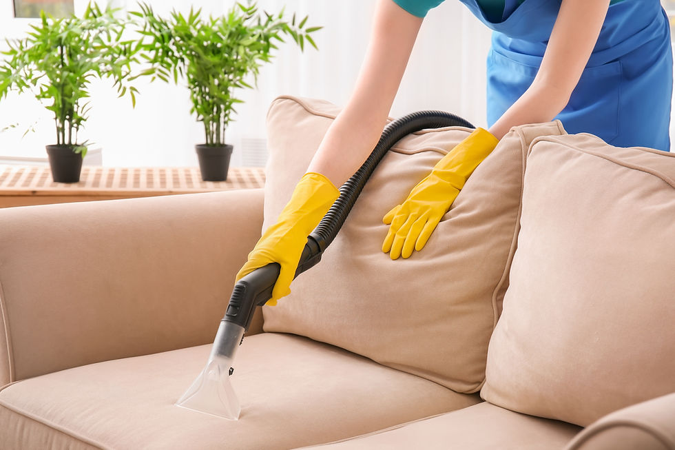 Vacuuming Couch