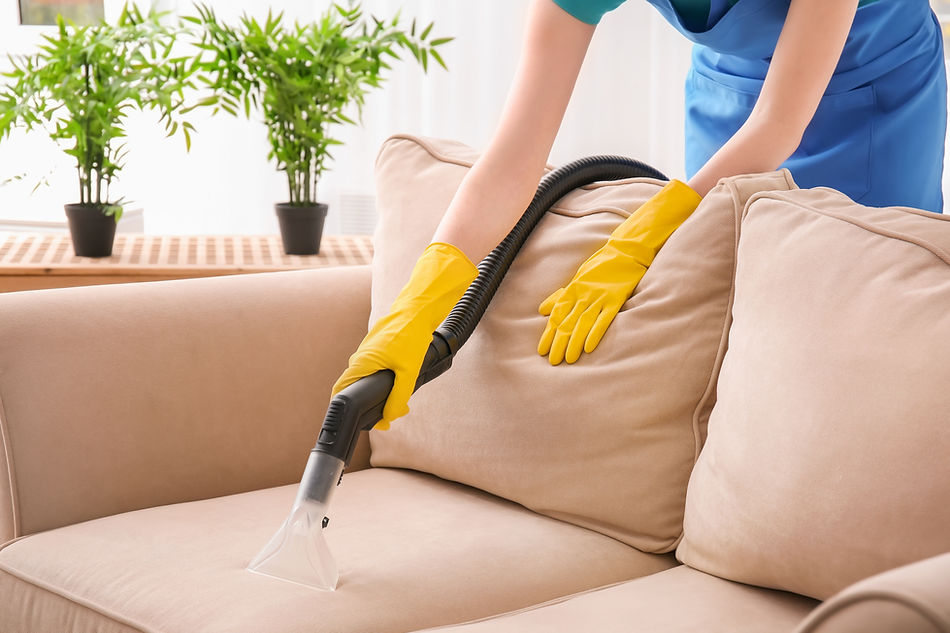 Vacuuming Sofa Fabric