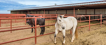 Castro County, Texas Land Auction