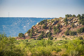 Conchas Lake Ranch - Land For Sale