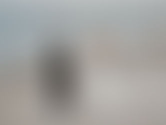 Victoria + Zack's Castle Farm Wedding in Charlevoix, MI