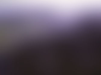 Conservation Groups Will Seek Increased Protection for Tolowa Dunes State Park