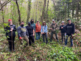 Thanks For An EPIC Spring Equinox Ivy Pull!