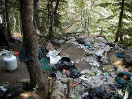 EPIC & Allies File Notice of Intent to Sue Forest Service For Failure In Trespass Cannabis Grow