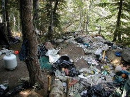 EPIC & Allies File Notice of Intent to Sue Forest Service For Failure In Trespass Cannabis Grow