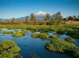 Take Action: Stop Deceptive Water Project On The Shasta River!
