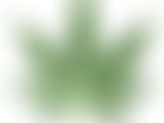 Existing North Coast Cannabis Cultivators: Come into Compliance