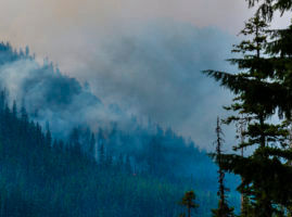 Fire Facts and Fictions