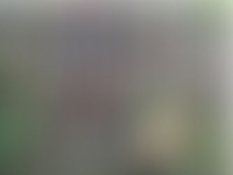 EPIC Work to Protect Environmental Democracy Supports Community Solutions