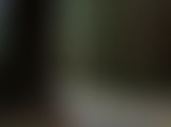 ACTION ALERT: Save the Old Growth Redwoods of Richardson Grove!