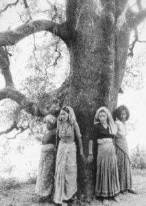 chipko-tree-huggers