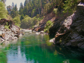 Comments Needed: Black Butte River Tributaries At Risk