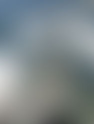 Take Action: Klamath River Runs Brown!