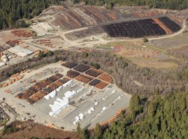 Eye on Green Diamond: Week 9