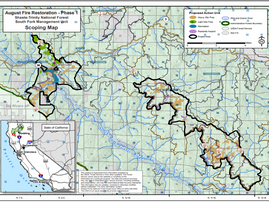 Action Alert: Help Stop Destructive Post-Fire Logging Project In Shasta-Trinity Nat’l Forest!
