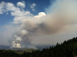 Action Alert: Protect Mendocino National Forest from Destructive Post-Fire Logging