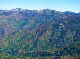 Westside Fire Recovery Project a Hot Mess