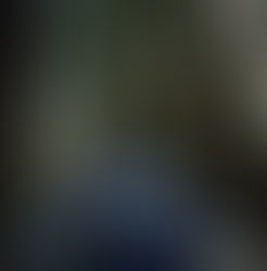 The Battle to Protect Richardson Grove Continues into 2011