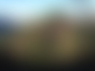 Protect the Wild Salmon River – Stop “Salvage” Logging