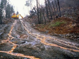 EPIC Takes on Logging Pollution at the U.S. Supreme Court