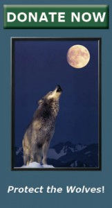 wolf donate button