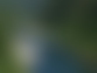 Take Action – Demand More Water for the Trinity River