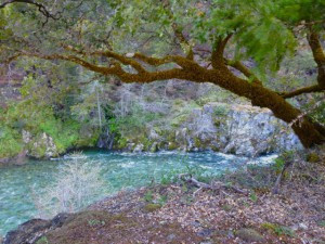 North Fork Salmon River