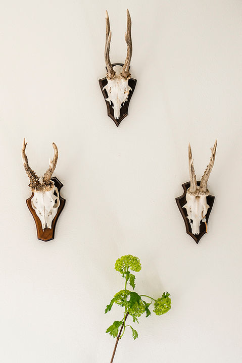 Hertengewei, met dank aan Chefkok Martijn van de Gouden Bock.