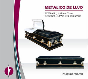 pagina moreh - ataud metalico de lujo.jp