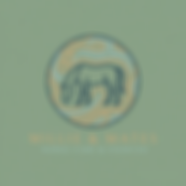 Horse care & exercise logo.png
