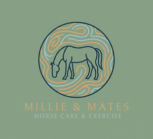 Horse care & exercise logo.png