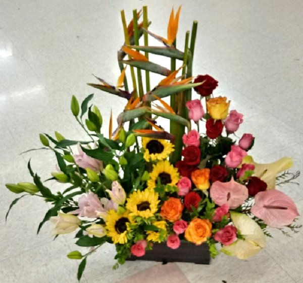 Exotique. Exotique tropical flowers and roses